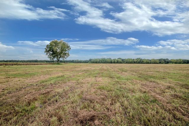 Tract 1 Charlie Meyer Road, Damon, TX 77430