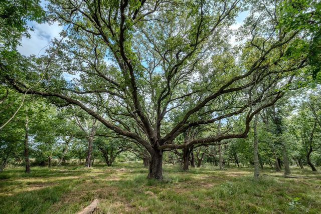 Tract 1 Charlie Meyer Road, Damon, TX 77430