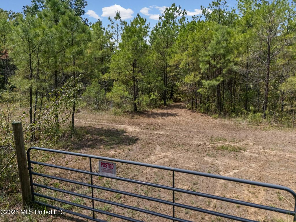 Brownlee Road, Sarah, MS 38665 — photo 2