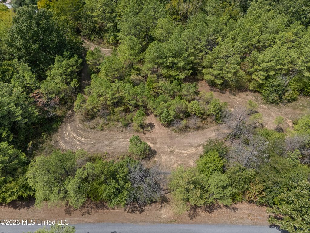 Brownlee Road, Sarah, MS 38665 — photo 3