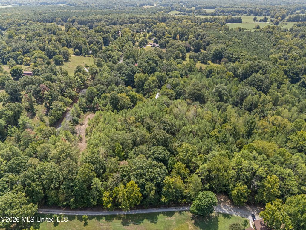 Brownlee Road, Sarah, MS 38665 — photo 4