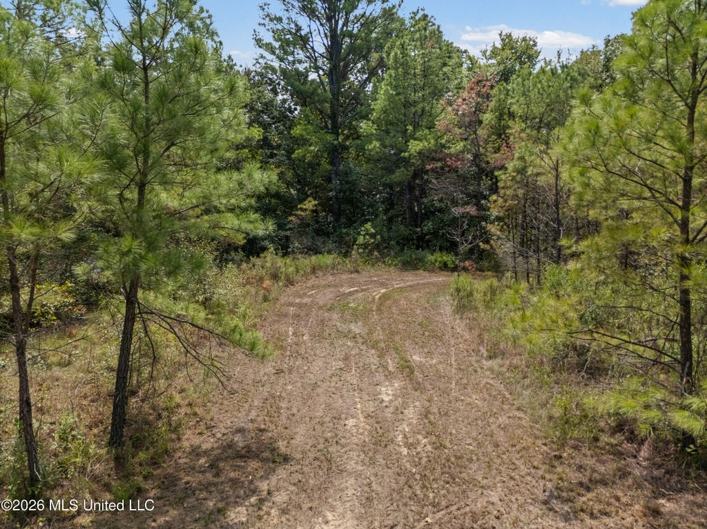 Brownlee Road, Sarah, MS 38665 — photo 5