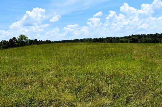 8034 E County Road 212, Buffalo, TX 75831