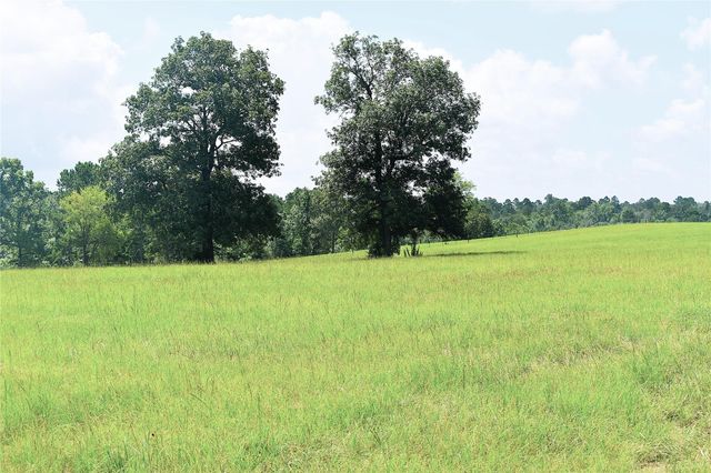 8034 E County Road 212, Buffalo, TX 75831
