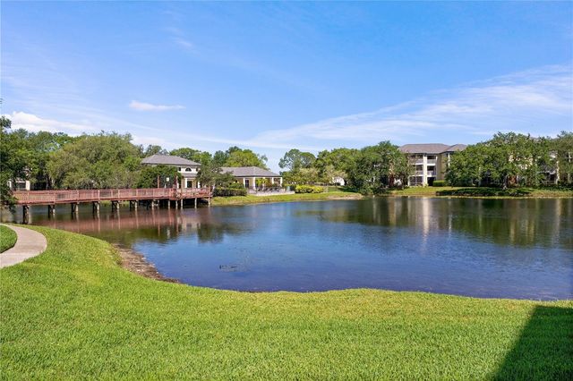4107 CHATHAM OAK COURT 326, Tampa, FL 33624
