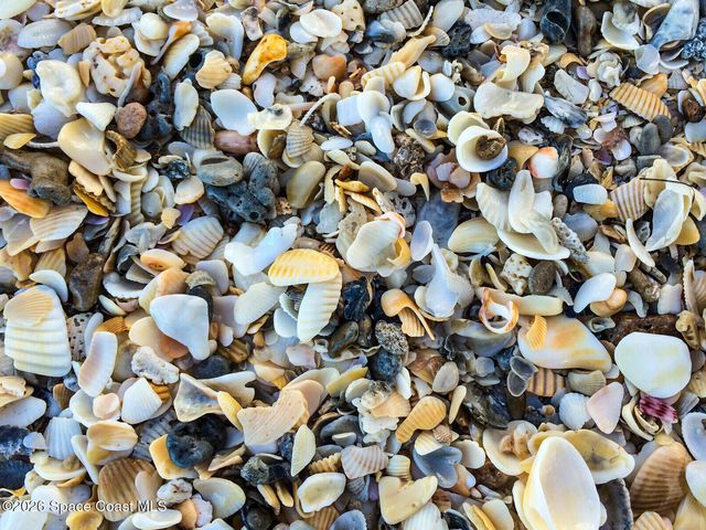 205 Melaleuca Drive, Satellite Beach, FL 32937