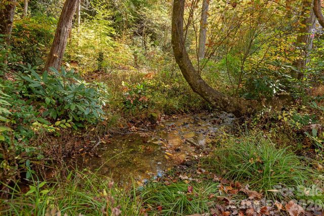 142 Davids Trace, Pisgah Forest, NC 28768