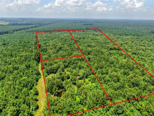 0 Pelican Road, Shepherd, TX 77371