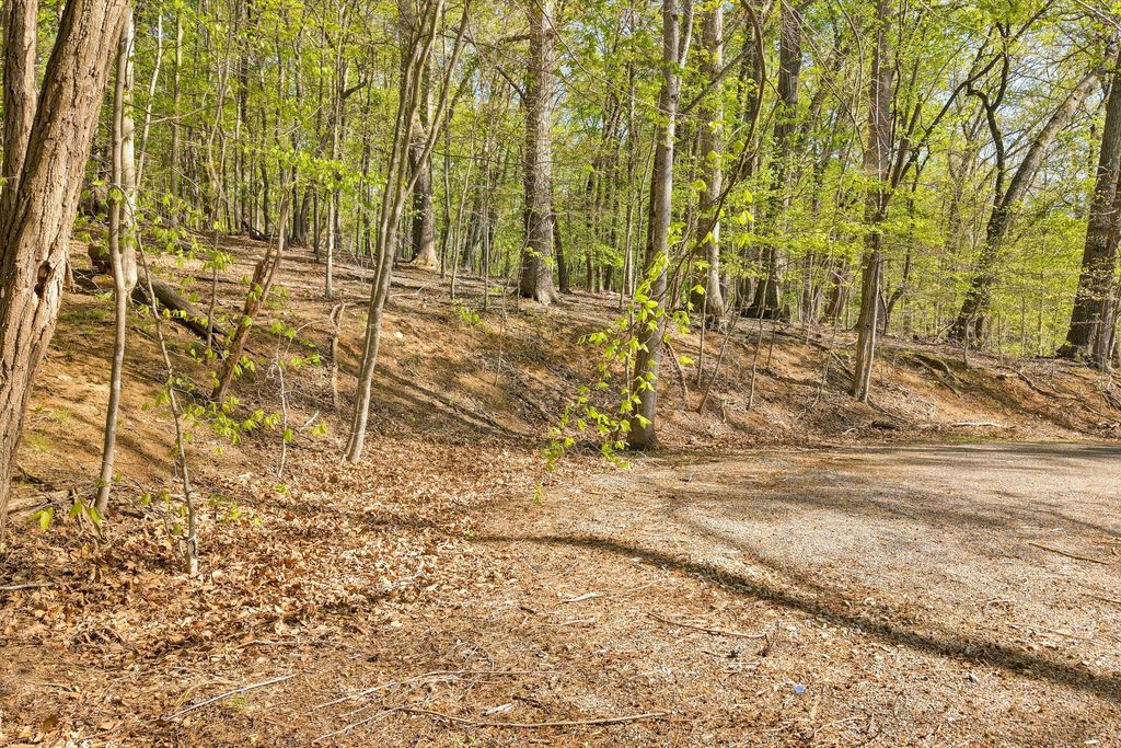 Lot 43 Old Barn RD, Moneta, VA 24121