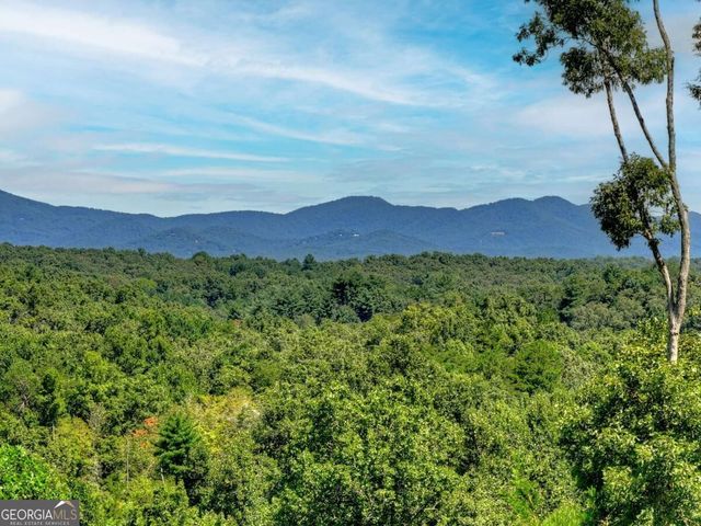 320 Amber Ridge, Blue Ridge, GA 30513