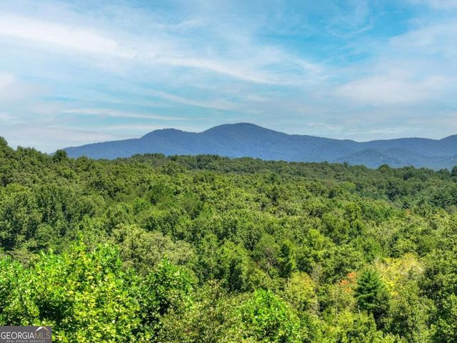 320 Amber Ridge, Blue Ridge, GA 30513