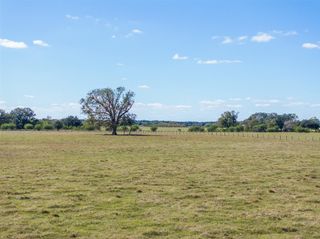 TBD Johnston Road, Wallis, TX 77485