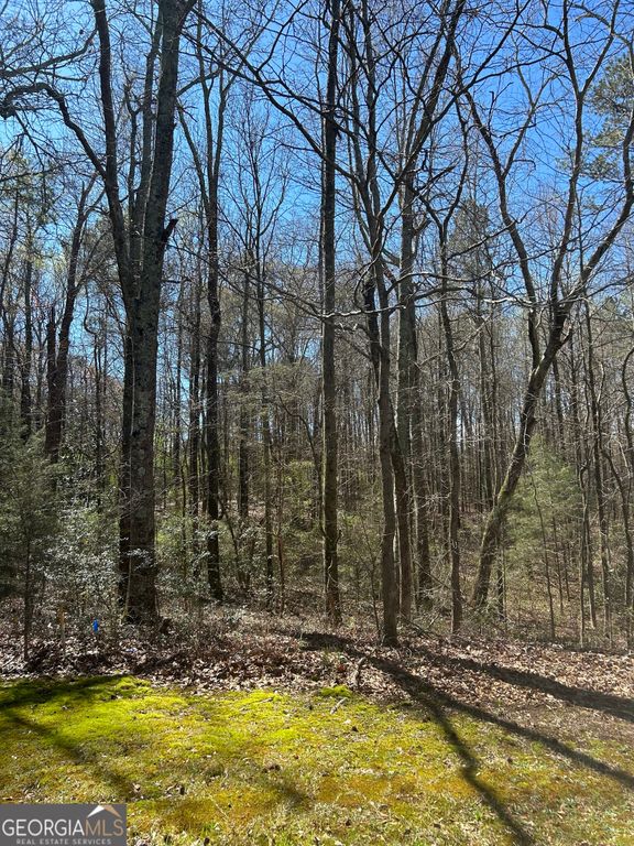 0 Harts Mill Road, Hartwell, GA 30643 — photo 3