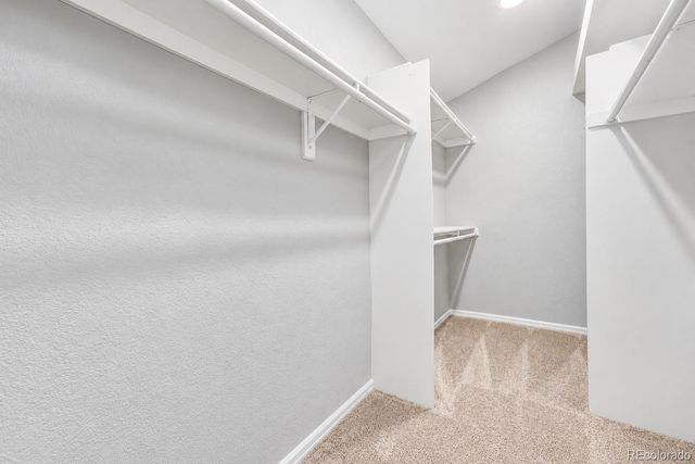 17032 E Wiley Place, Parker, CO 80134