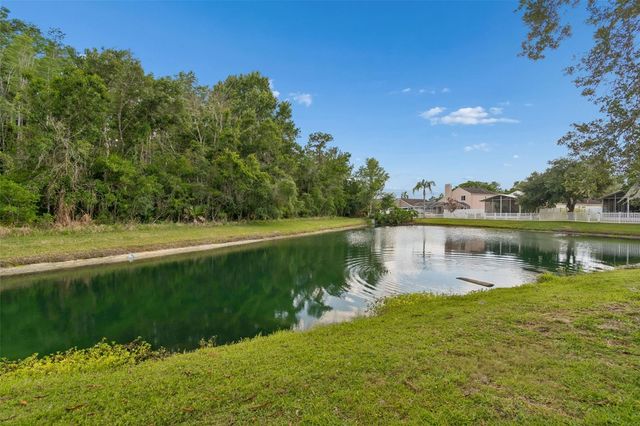 1223 TIMBER TRACE DRIVE, Wesley Chapel, FL 33543