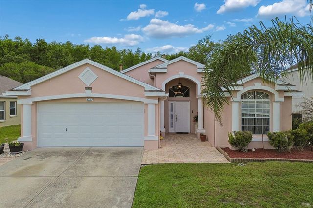 1223 TIMBER TRACE DRIVE, Wesley Chapel, FL 33543