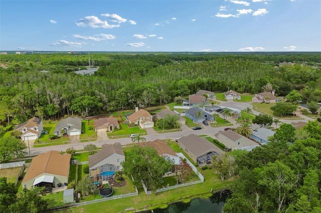 1223 TIMBER TRACE DRIVE, Wesley Chapel, FL 33543