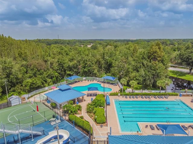 1223 TIMBER TRACE DRIVE, Wesley Chapel, FL 33543