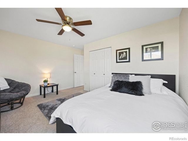 453 Harbor Court, Windsor, CO 80550