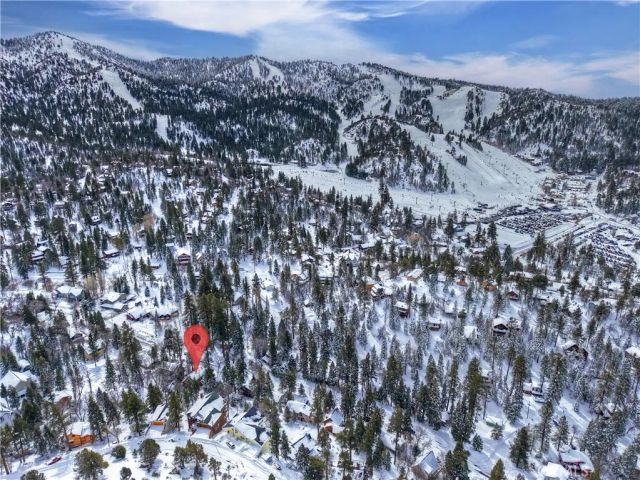43442 Bow Canyon, Big Bear Lake, CA 92315