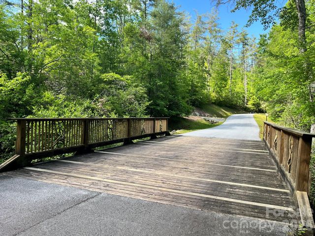 Lot 90 Peppervine Circle 90, Rosman, NC 28712