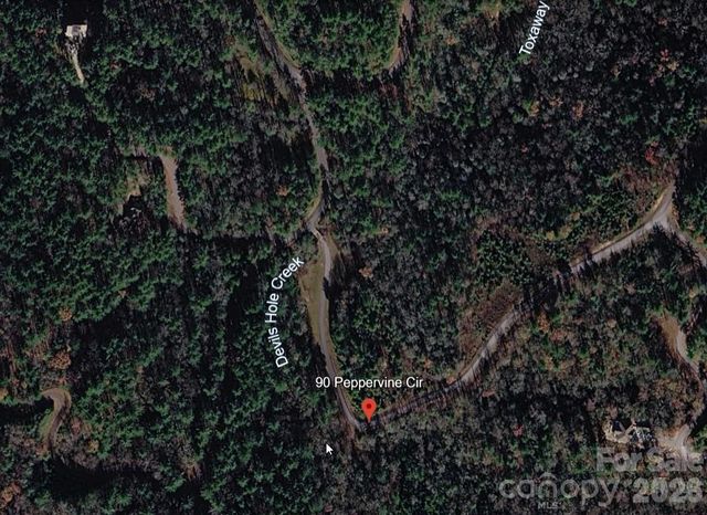 Lot 90 Peppervine Circle 90, Rosman, NC 28712