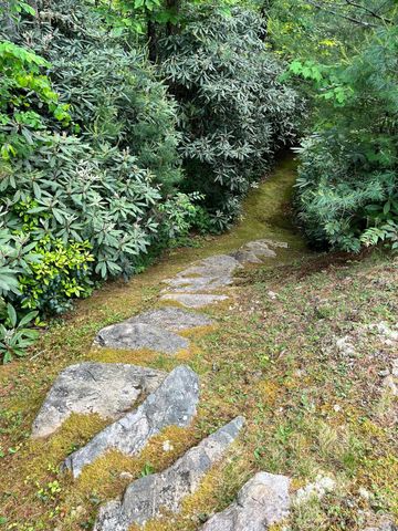 Lot 90 Peppervine Circle 90, Rosman, NC 28712