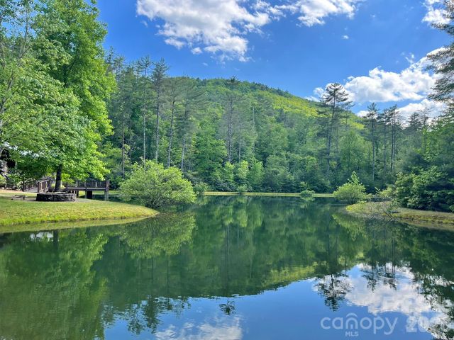 Lot 90 Peppervine Circle 90, Rosman, NC 28712