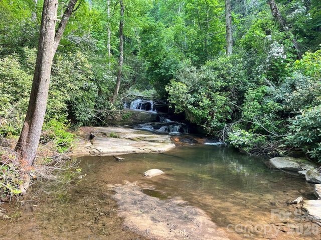 Lot 90 Peppervine Circle 90, Rosman, NC 28712