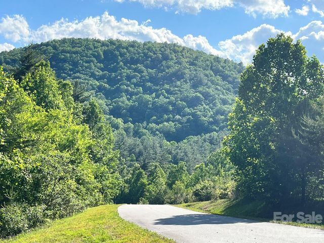 Lot 90 Peppervine Circle 90, Rosman, NC 28712