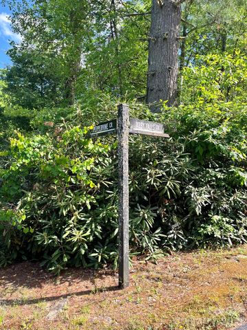 Lot 90 Peppervine Circle 90, Rosman, NC 28712