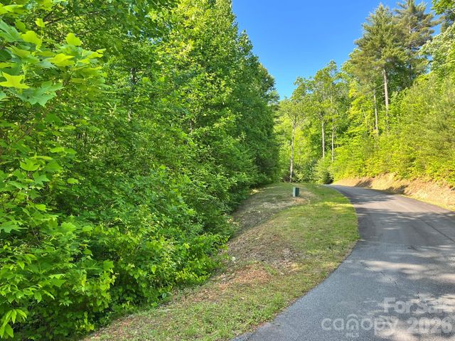 Lot 90 Peppervine Circle 90, Rosman, NC 28712