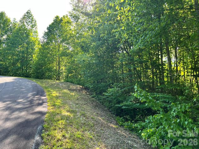 Lot 90 Peppervine Circle 90, Rosman, NC 28712