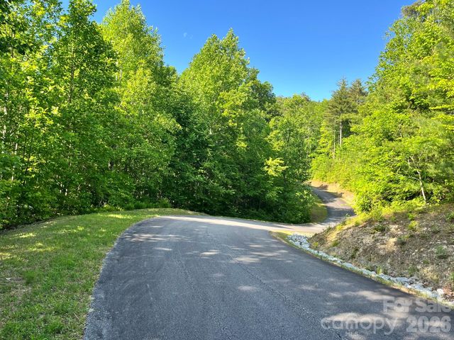 Lot 90 Peppervine Circle 90, Rosman, NC 28712