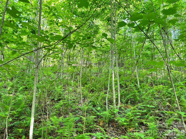 Lot 90 Peppervine Circle 90, Rosman, NC 28712