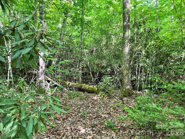 Lot 90 Peppervine Circle 90, Rosman, NC 28712