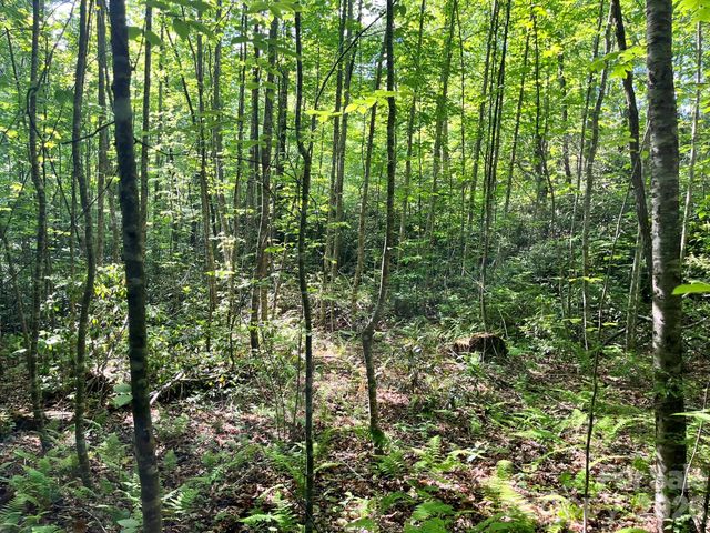 Lot 90 Peppervine Circle 90, Rosman, NC 28712