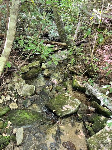 Lot 90 Peppervine Circle 90, Rosman, NC 28712