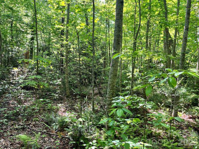 Lot 90 Peppervine Circle 90, Rosman, NC 28712