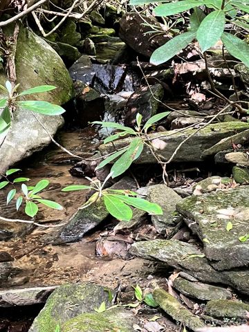Lot 90 Peppervine Circle 90, Rosman, NC 28712