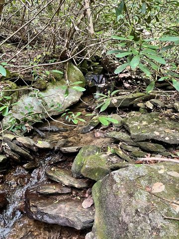 Lot 90 Peppervine Circle 90, Rosman, NC 28712