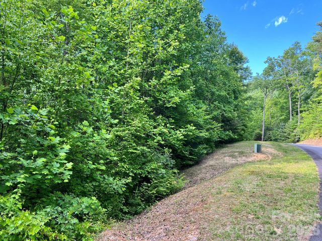 Lot 90 Peppervine Circle 90, Rosman, NC 28712