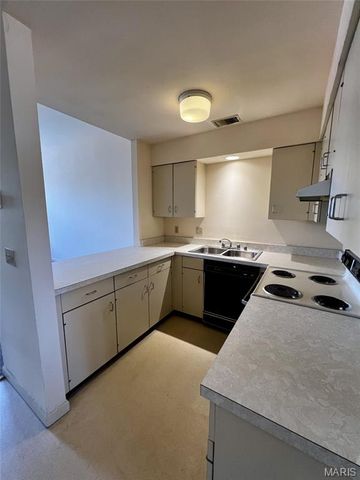 2009 S 11th Street, St Louis, MO 63104