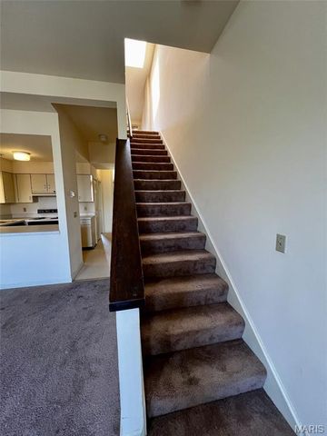 2009 S 11th Street, St Louis, MO 63104