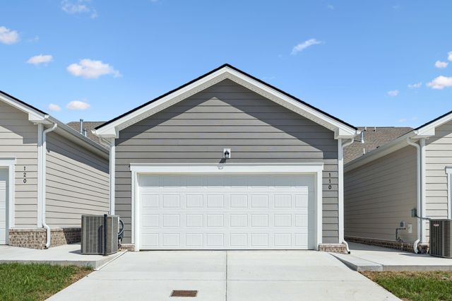 8136 Rocky Fork Alamaville Road, Smyrna, TN 37167