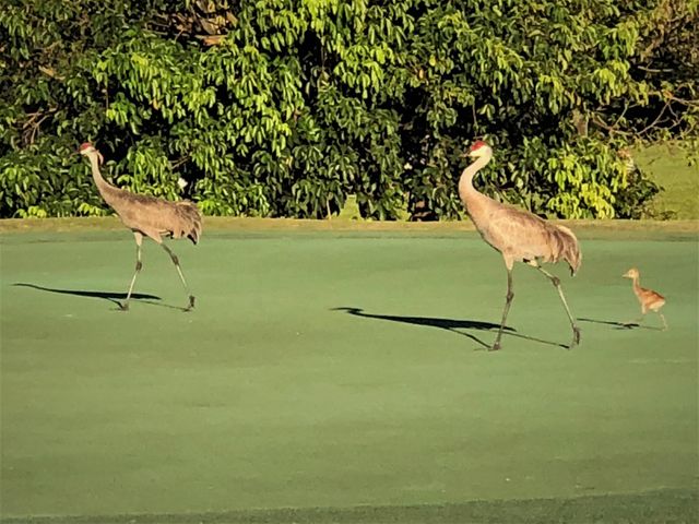 202 Club Drive, Palm Beach Gardens, FL 33418