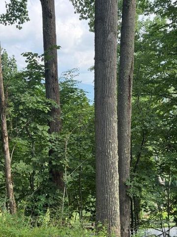 Lot 91 Apple Brandy Way, Burnsville, NC 28714