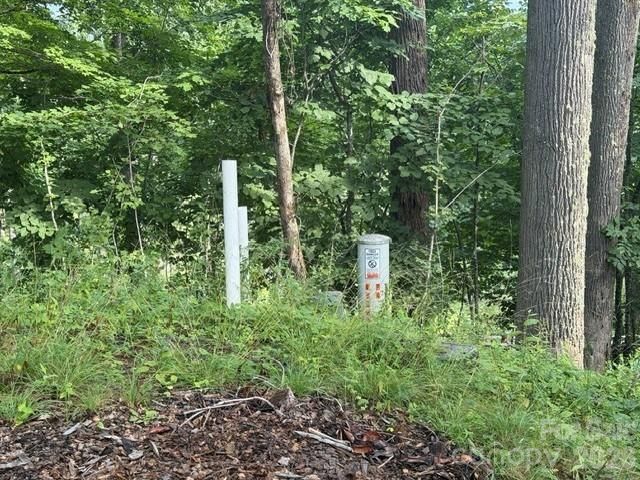 Lot 91 Apple Brandy Way, Burnsville, NC 28714