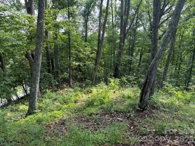 Lot 91 Apple Brandy Way, Burnsville, NC 28714