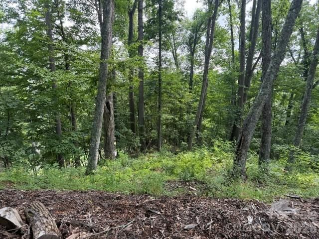 Lot 91 Apple Brandy Way, Burnsville, NC 28714
